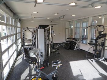 Free weights